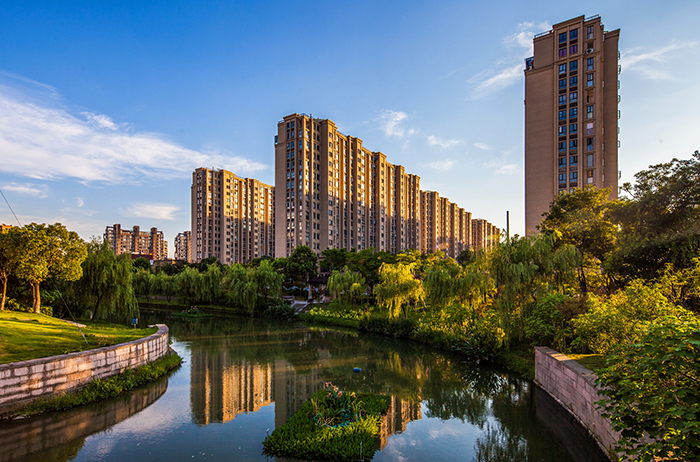 南通灭鼠公司